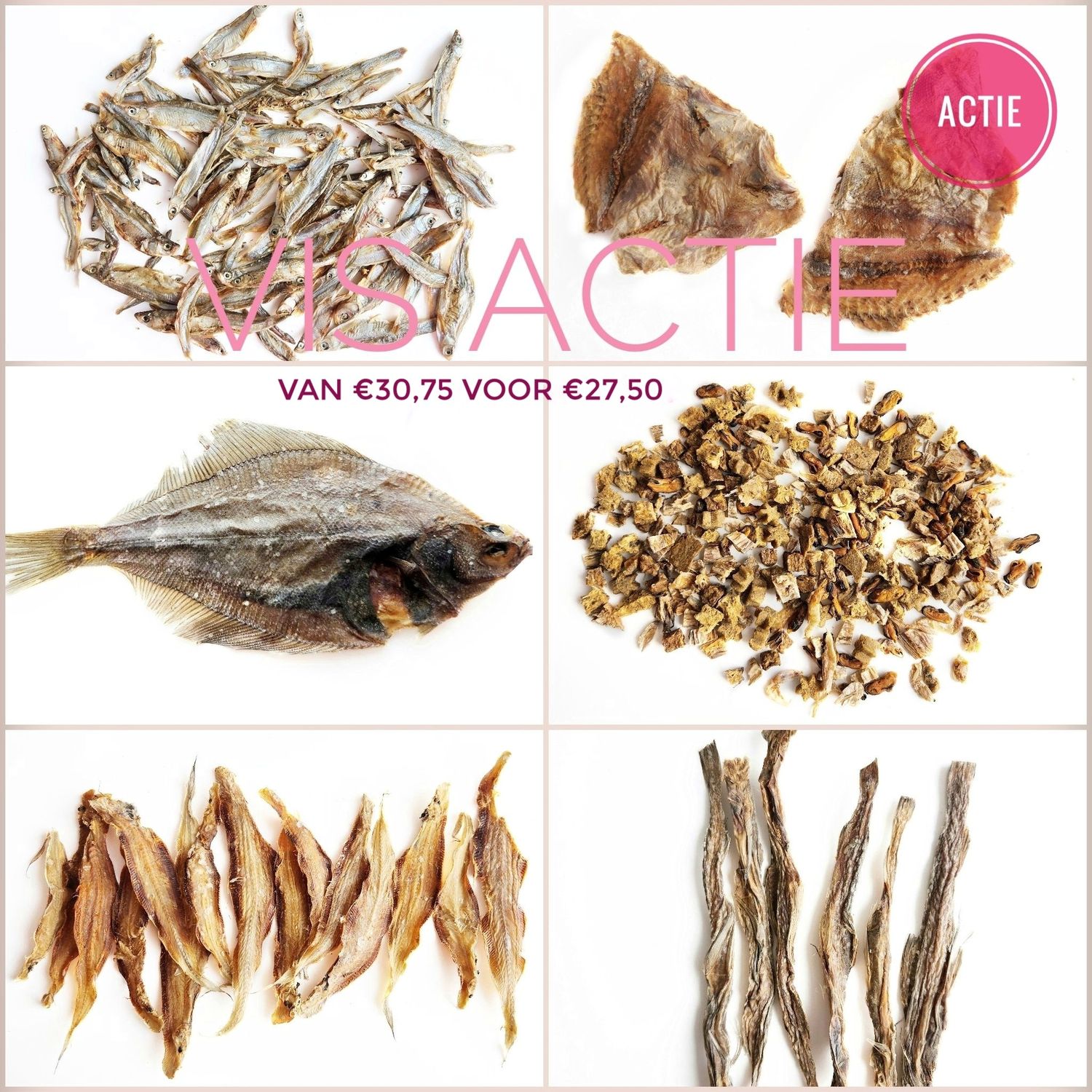 Vis actie