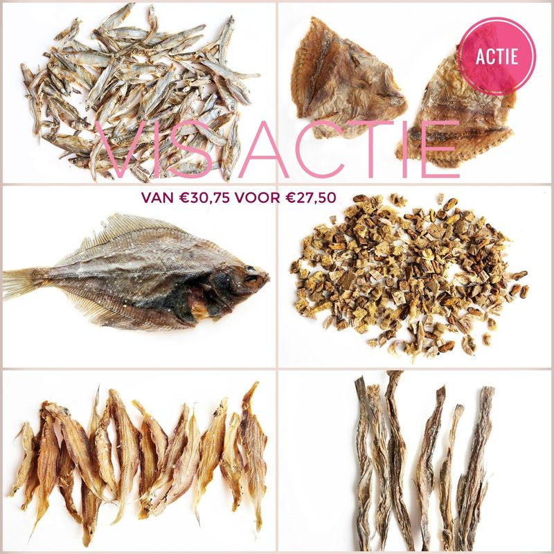Vis actie