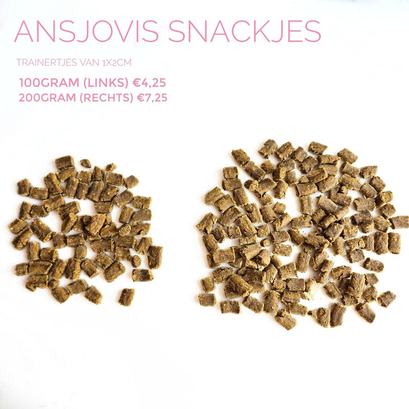 ansjovis snackjes