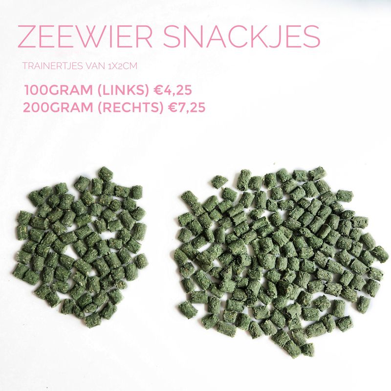 Zeewier snackjes