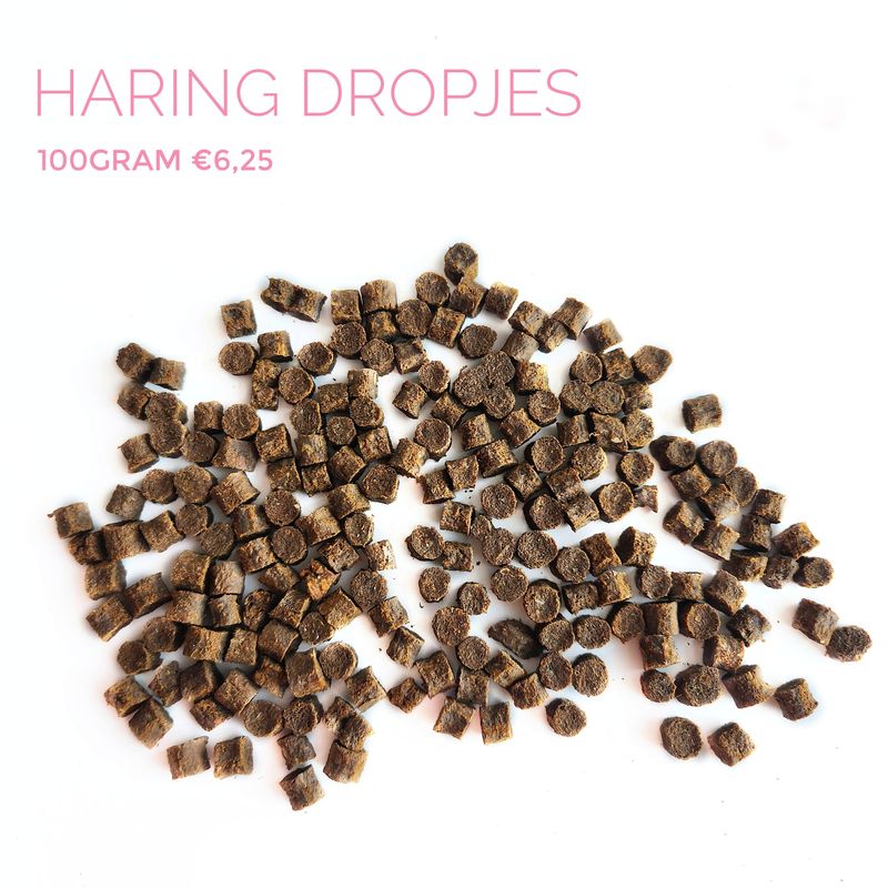 Haring dropjes