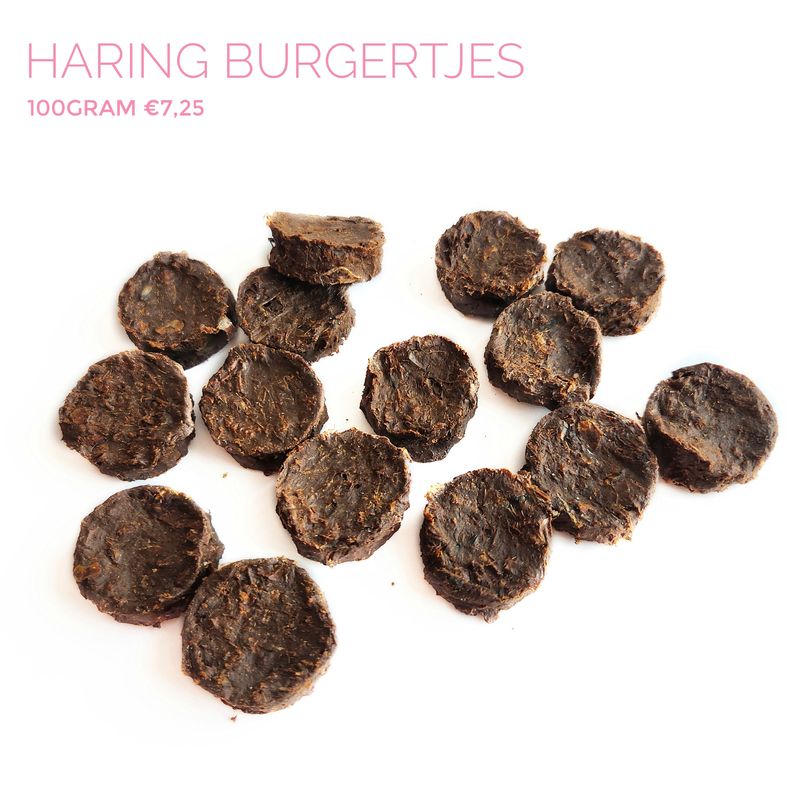 Haring burgertjes