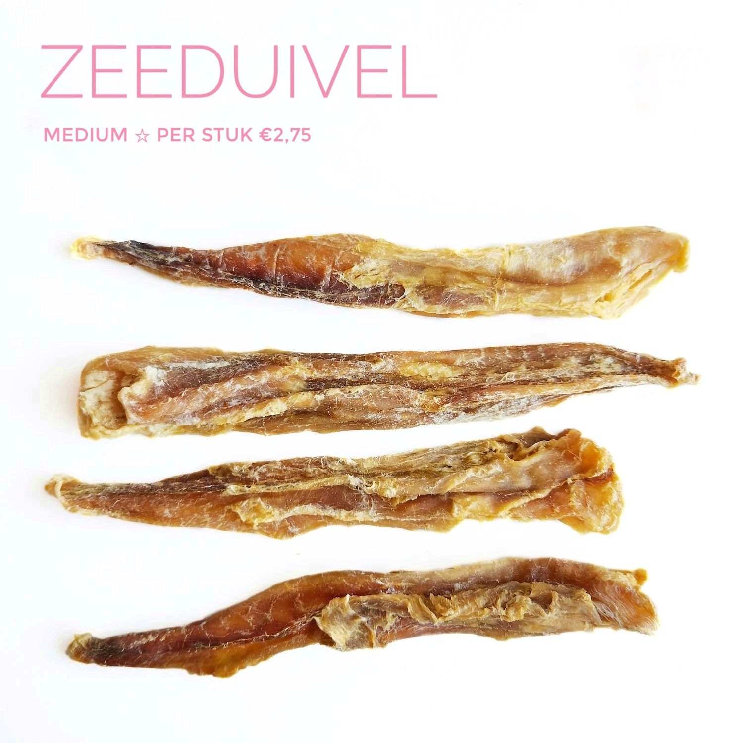 Zeeduivel | medium