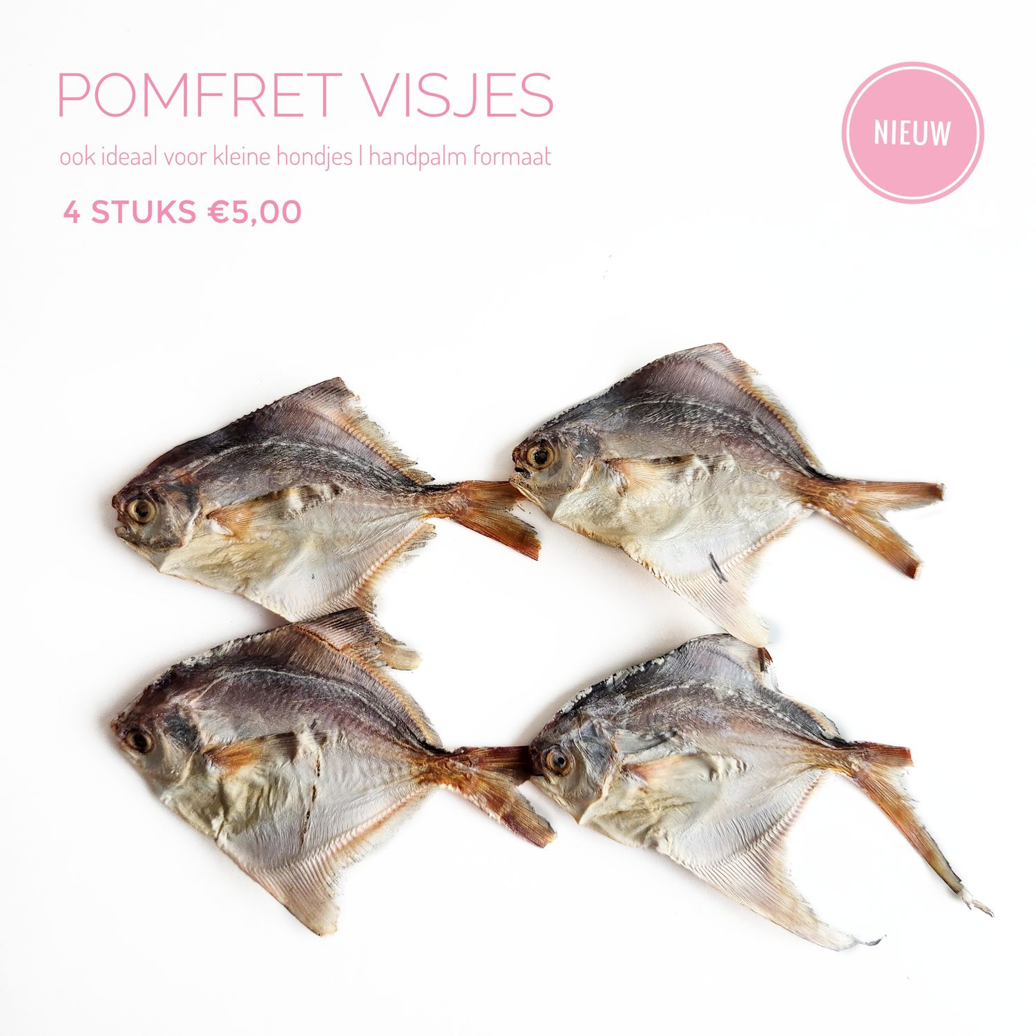 Pomfret visjes 5st