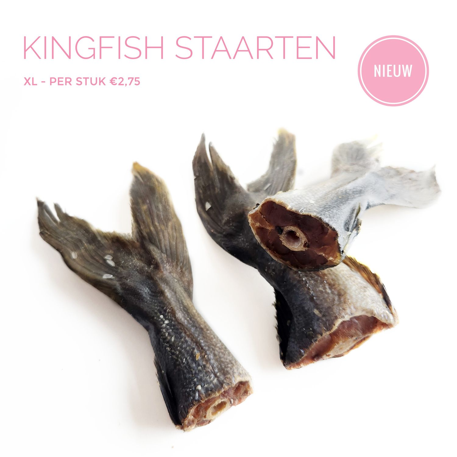 Kingfish staart XL