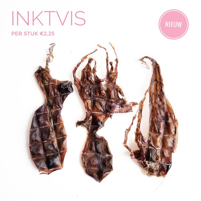 Inktvis