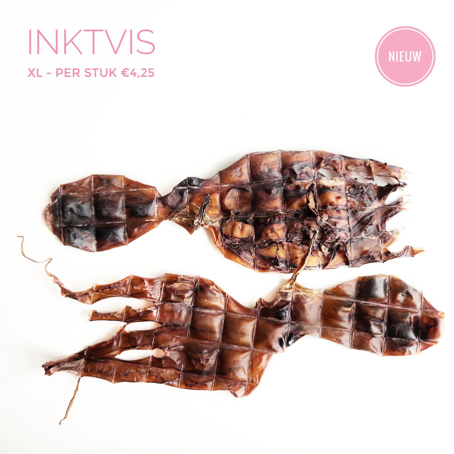Inktvis XL