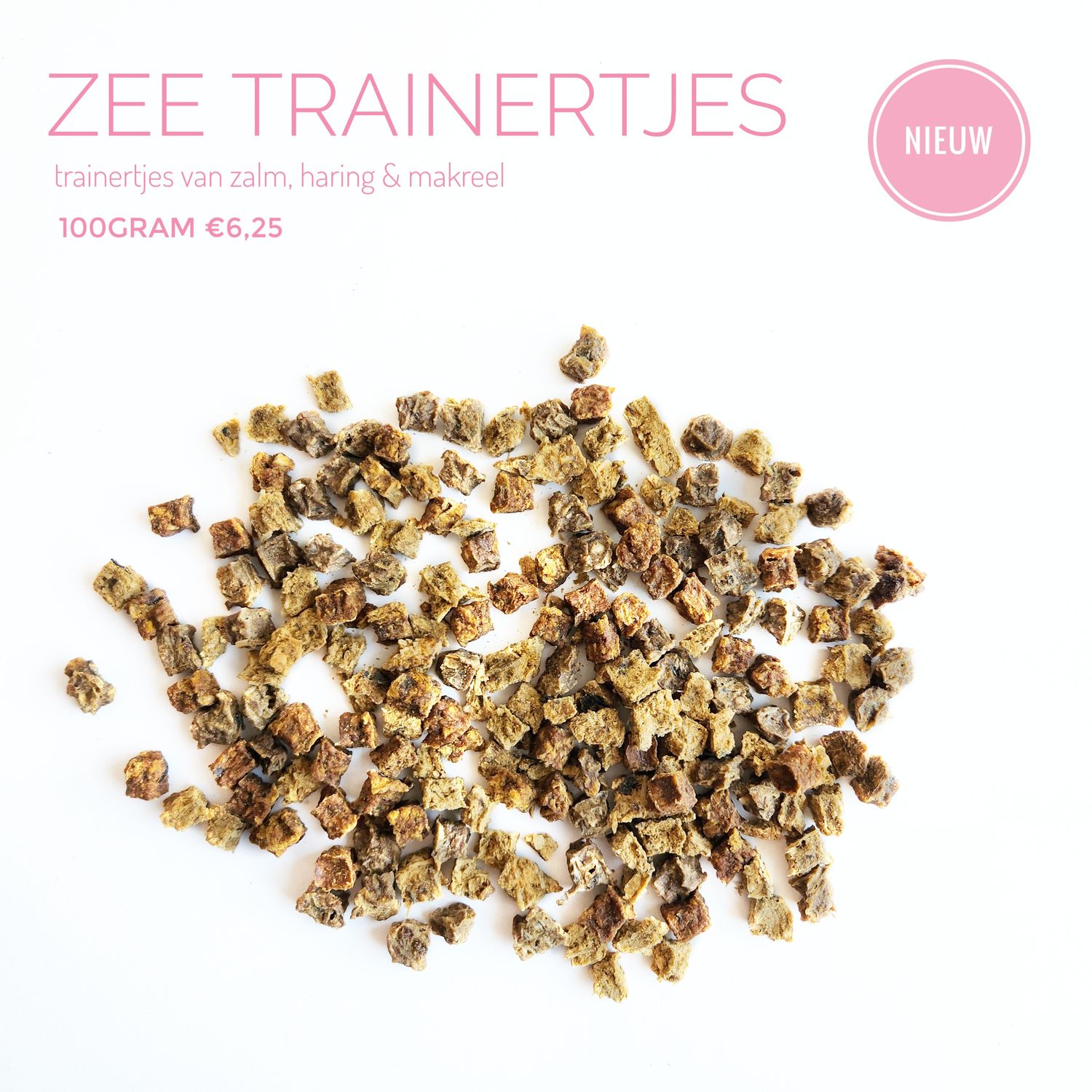 Zee trainertjes
