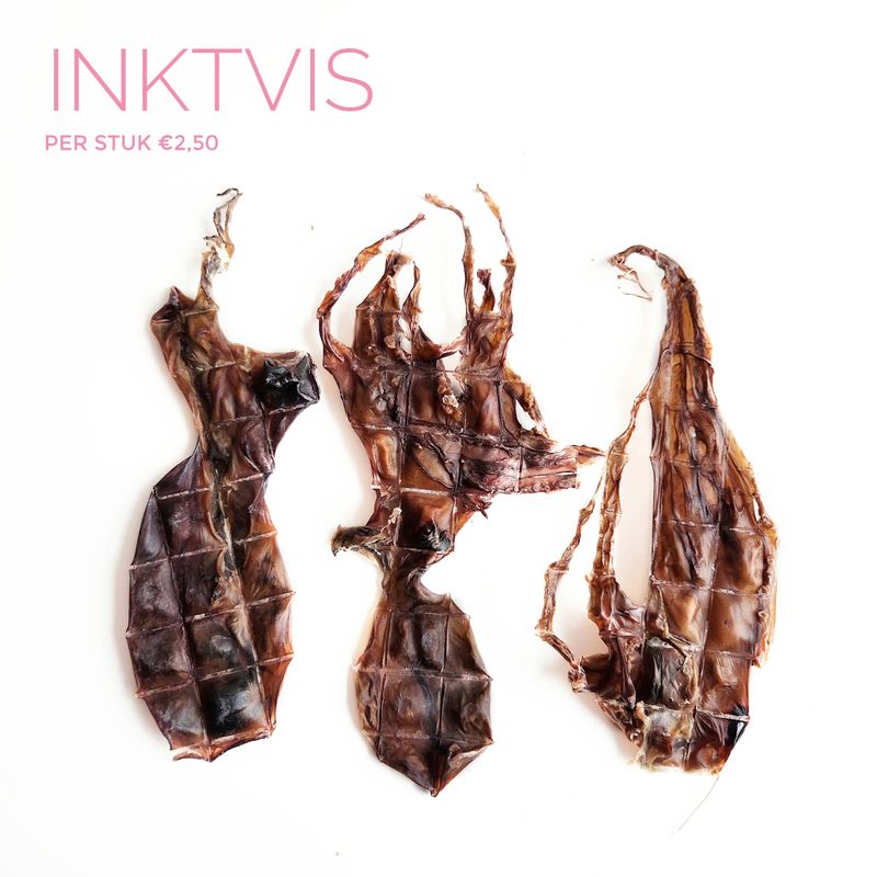 Inktvis
