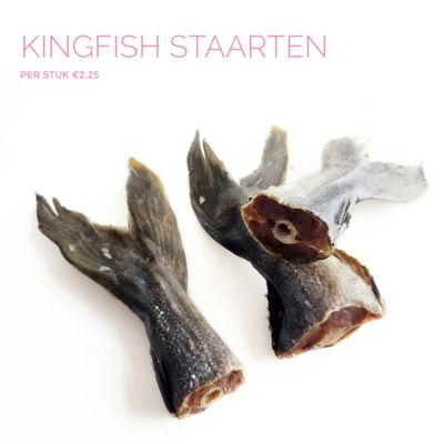 Kingfish staart Kingfish staart