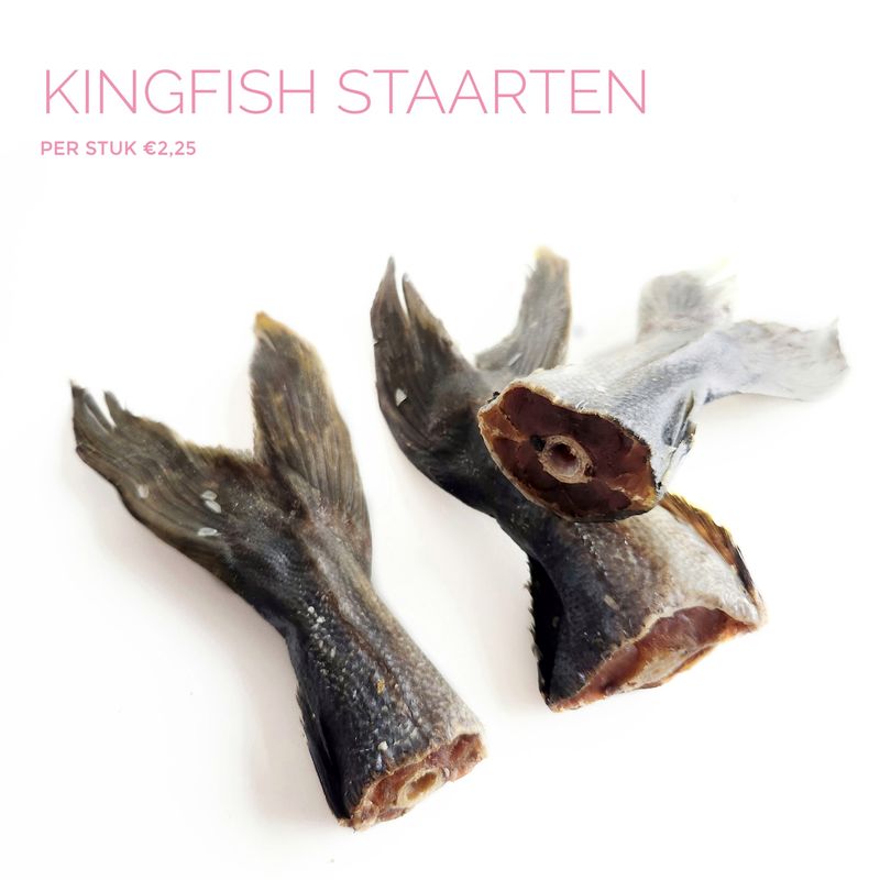 Kingfish staart