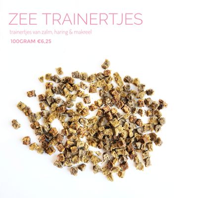 Zee trainertjes