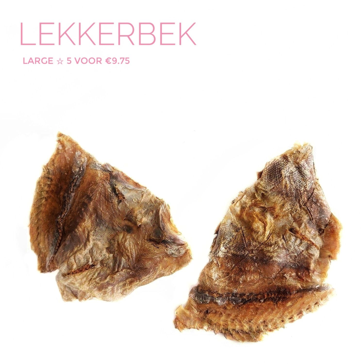lekkerbek (large)