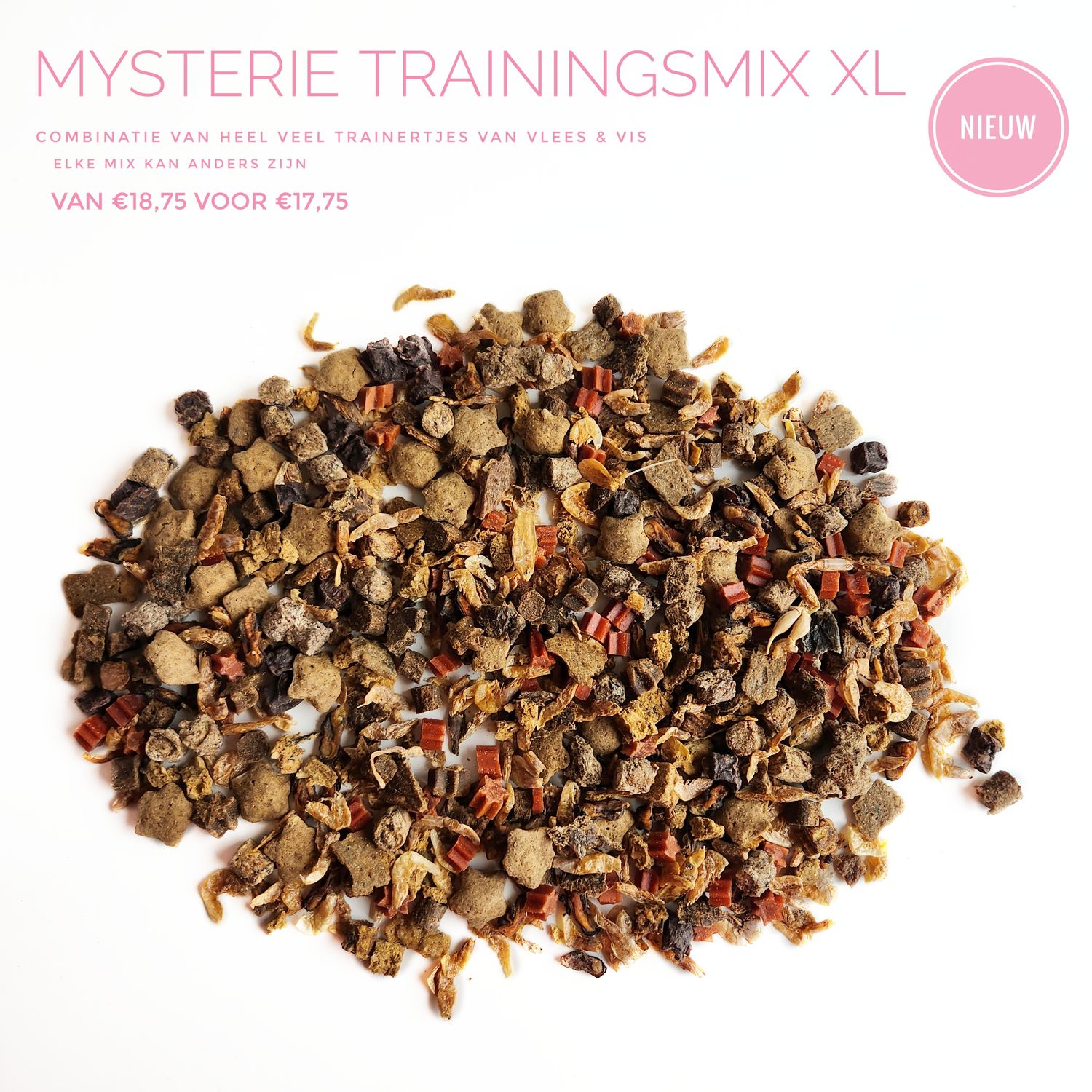 Mysterie trainings mix XL