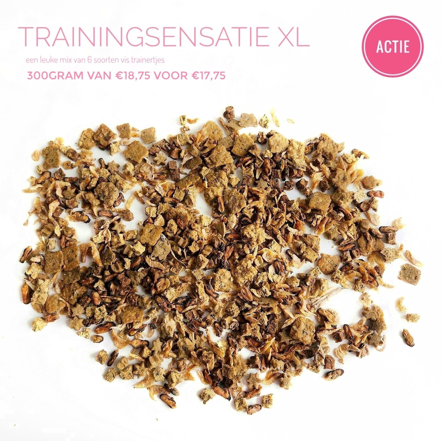 Trainingsensatie xl 300gram