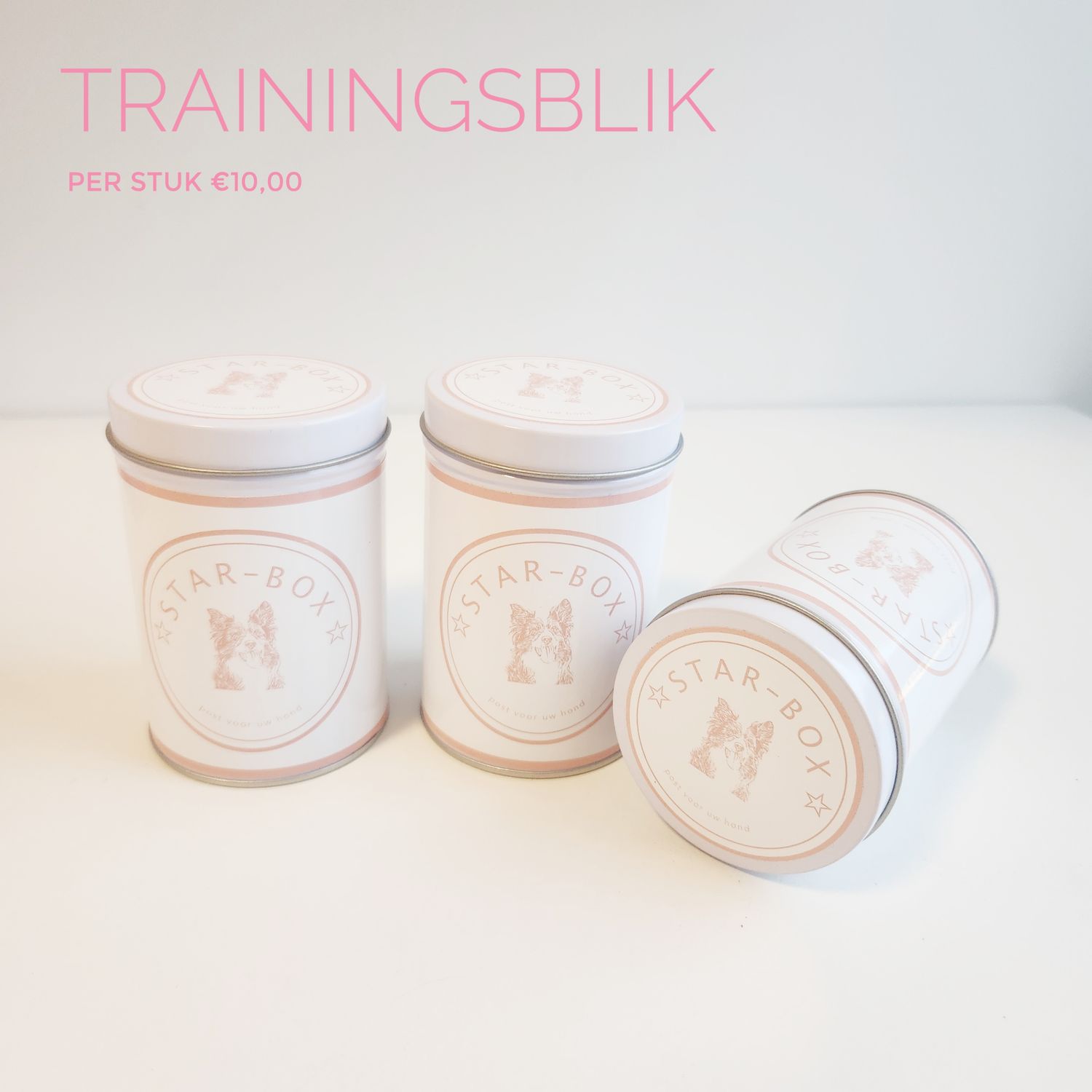 Trainingsblik