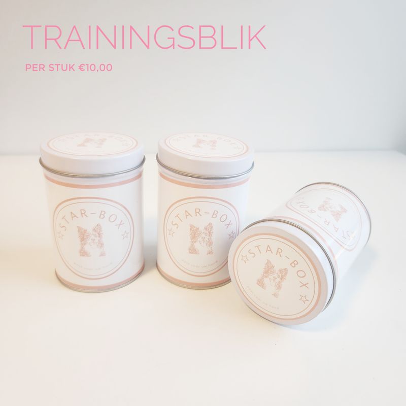 Trainingsblik