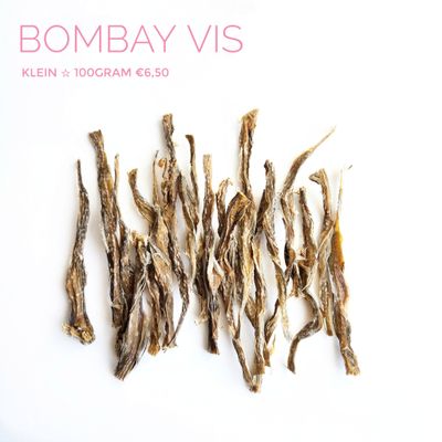 Bombay vis (klein)