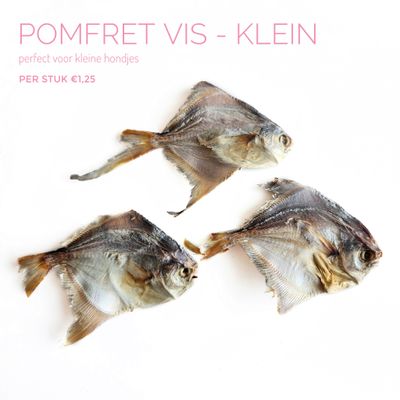 Pomfret vis (klein) Pomfret vis (klein)