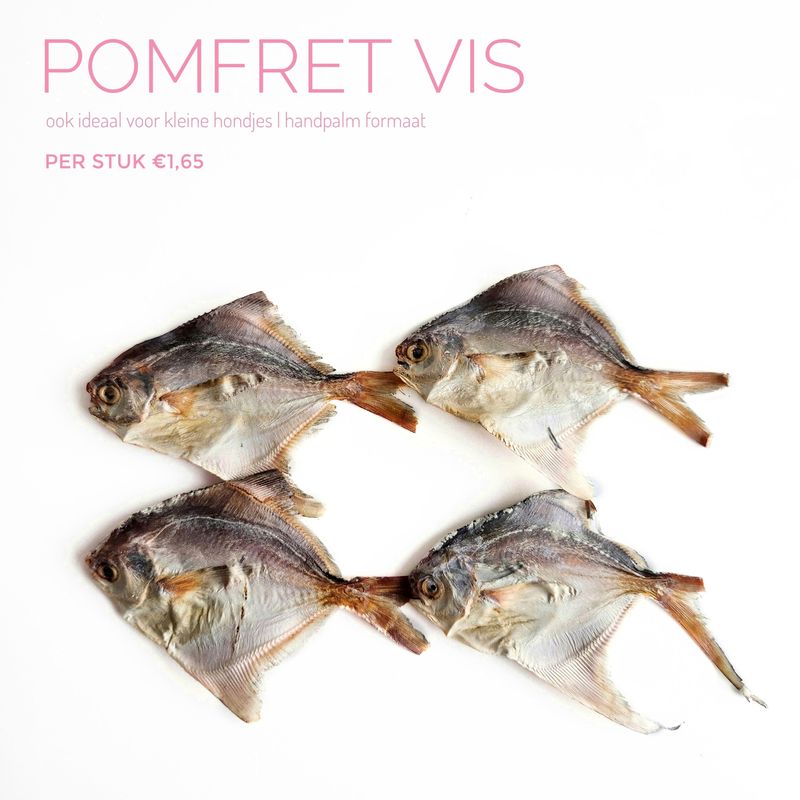 Pomfret vis 