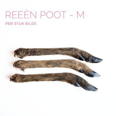 Reeën poot (M) 