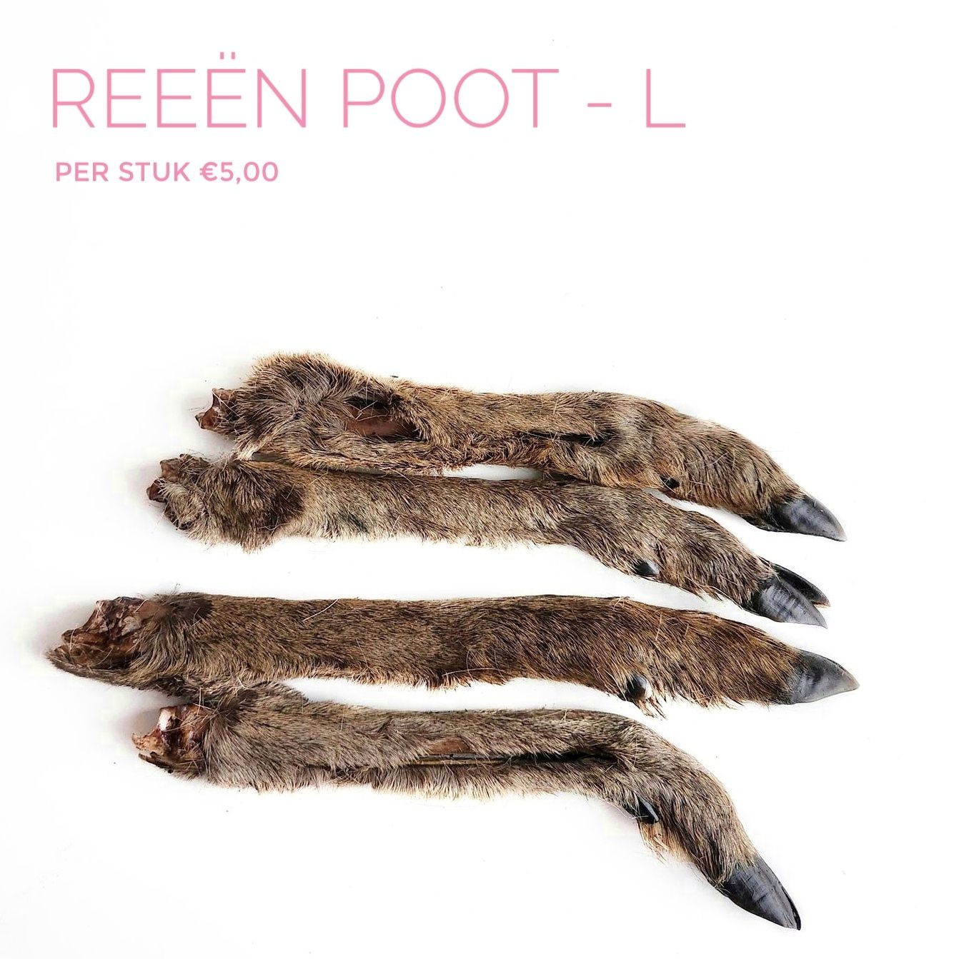 Reeën poot (L)