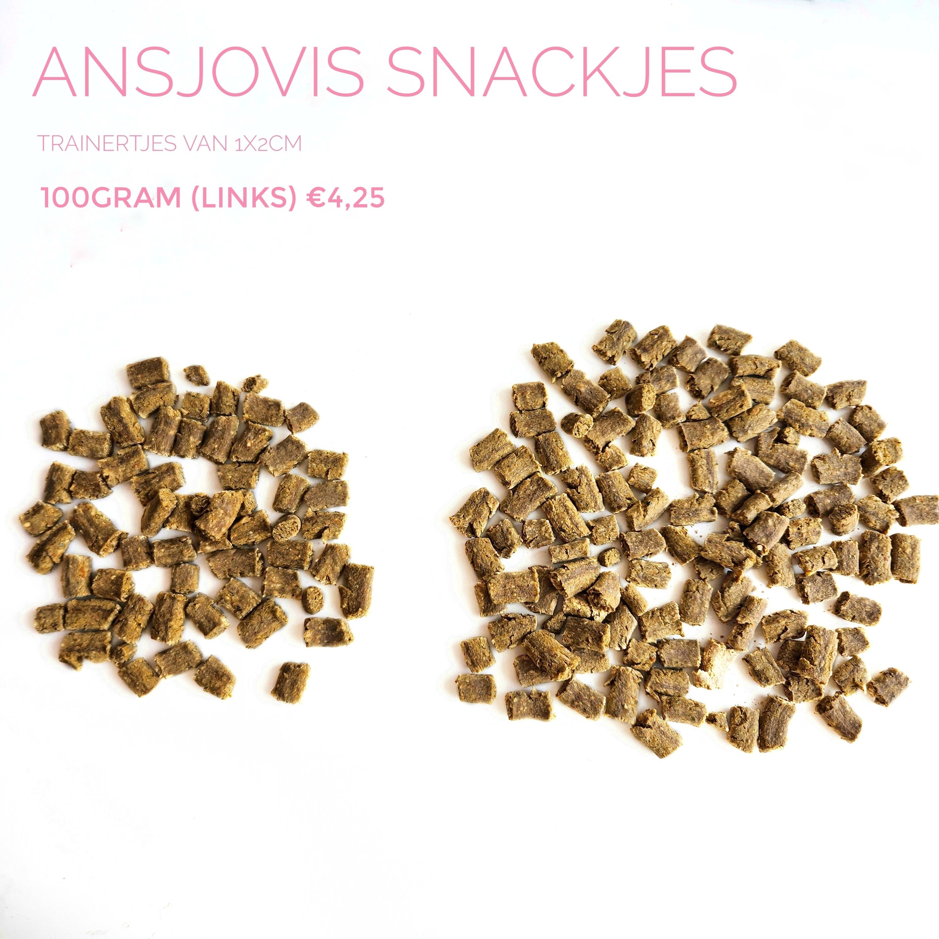 ansjovis snackjes 100gram