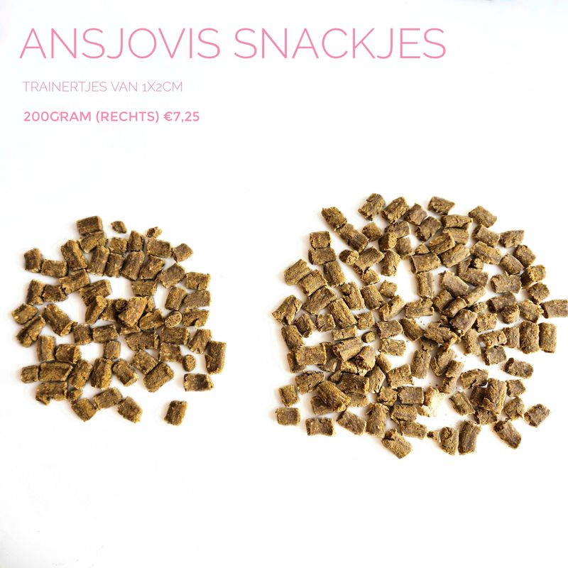 ansjovis snackjes