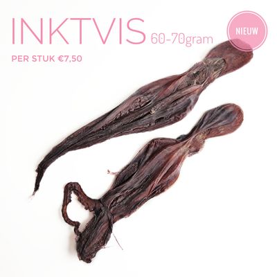 Inktvis 60-70gram