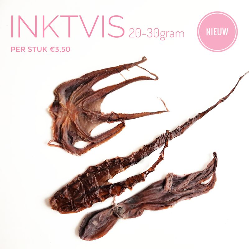 Inktvis 20-30gram