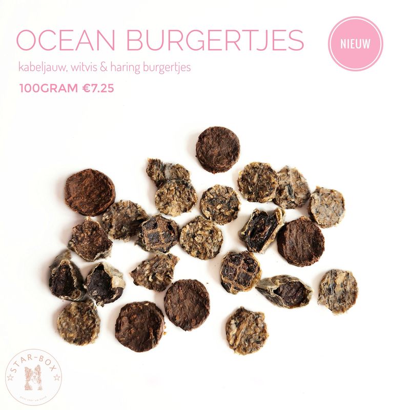 Ocean burgertjes