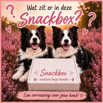 Snack box (medium/grote honden) Snack box (medium/grote honden)