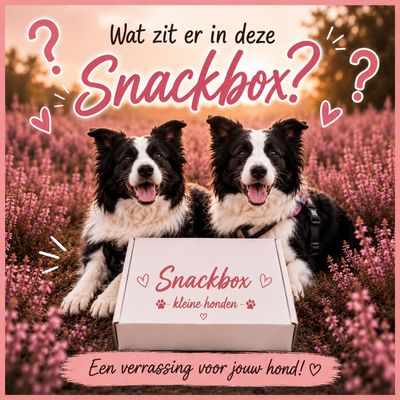 Snack box (kleine hondjes) Snack box (kleine hondjes)