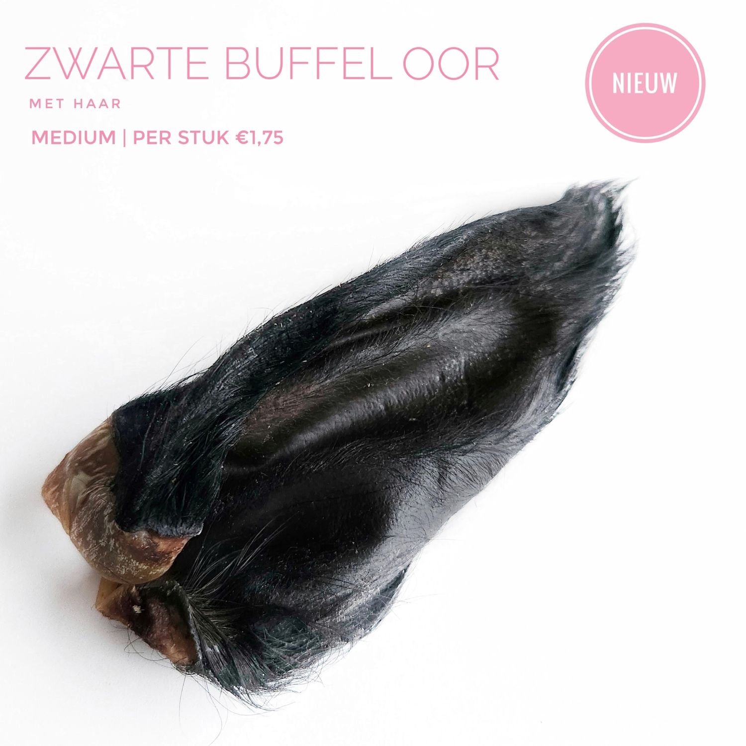 Buffel oor (medium)