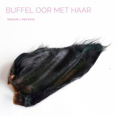 Buffel oor met haar (M)