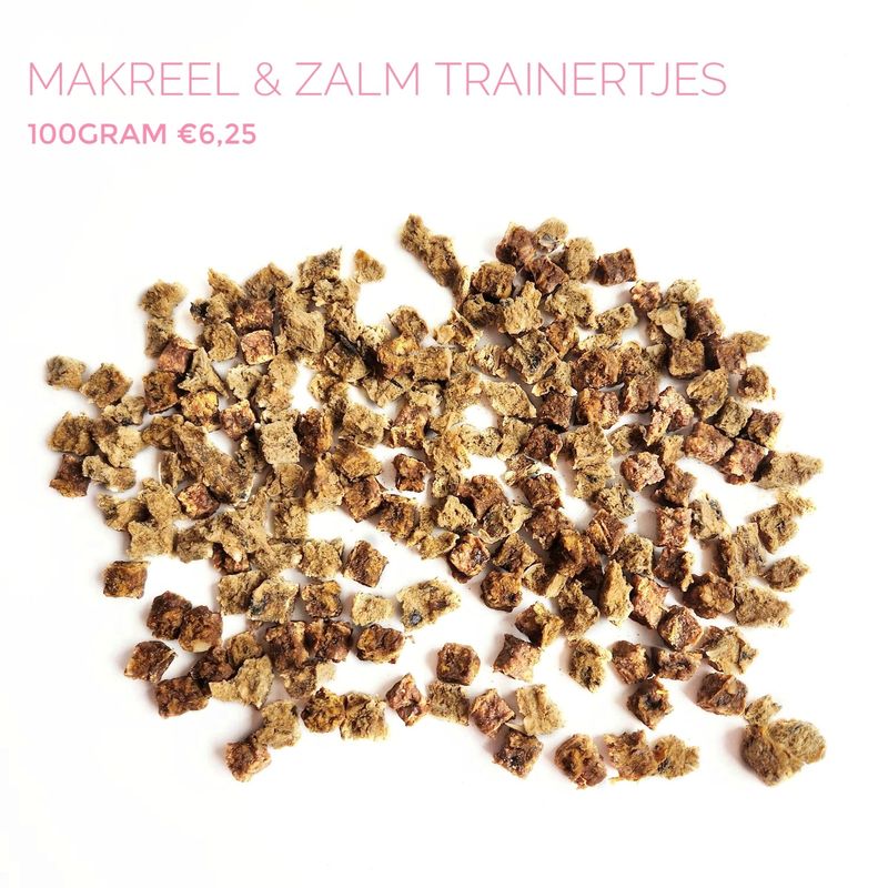 makreel/zalm trainertjes