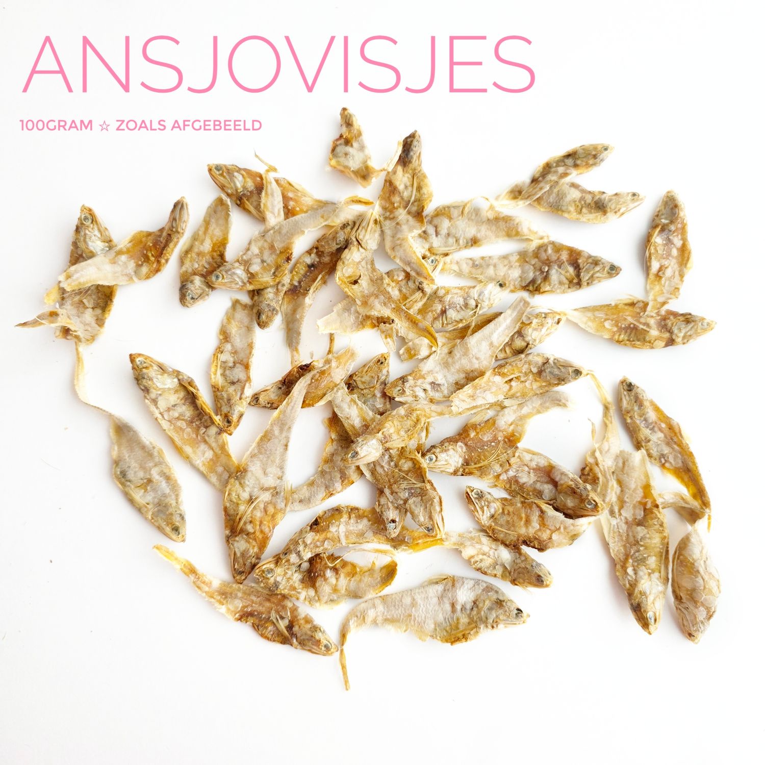 ansjovisjes