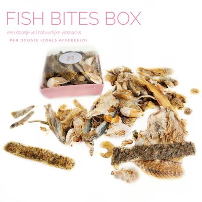 fish bites box