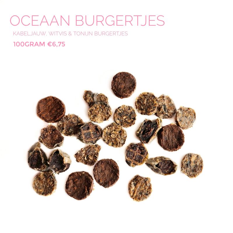 Oceaan burgertjes