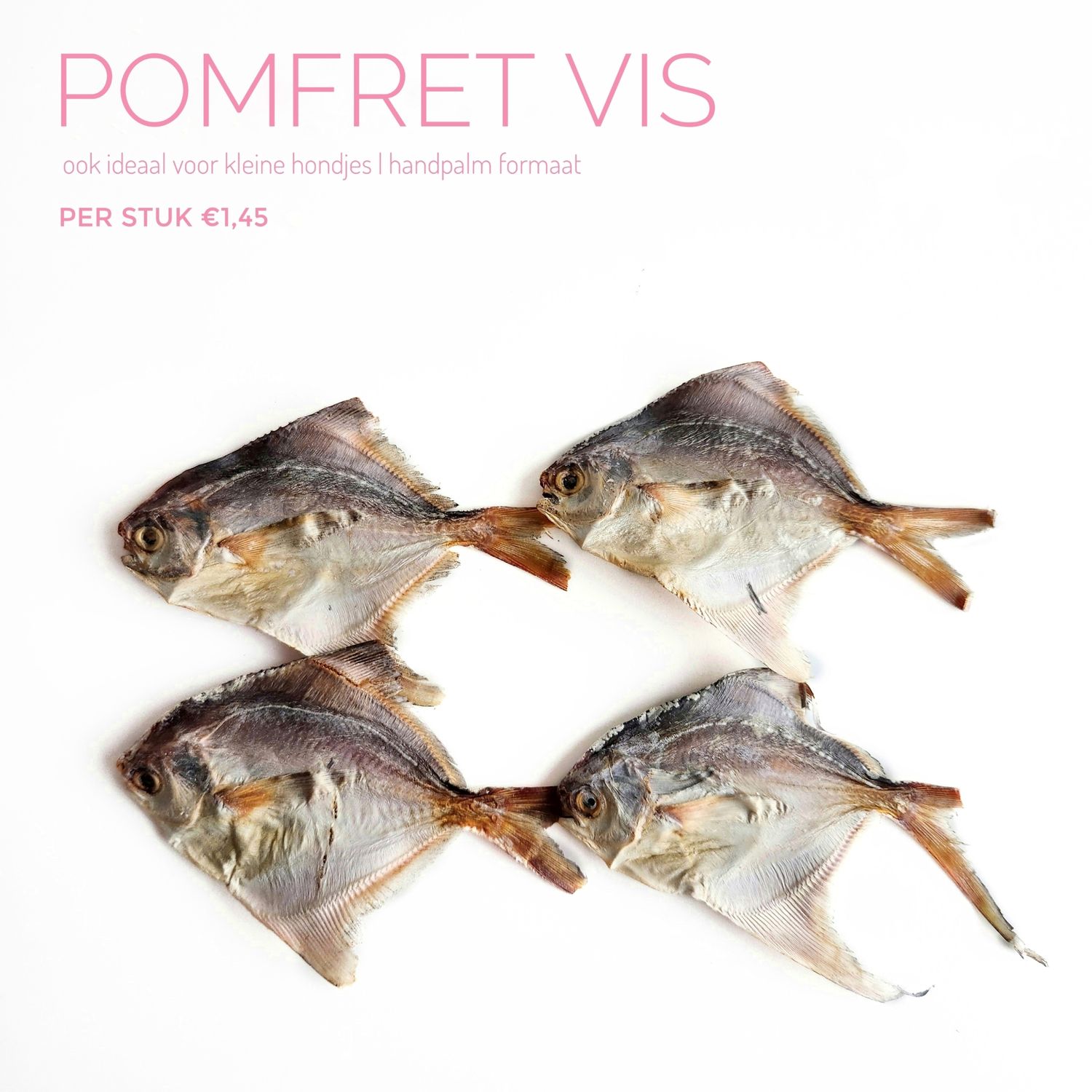 Pomfret vis 
