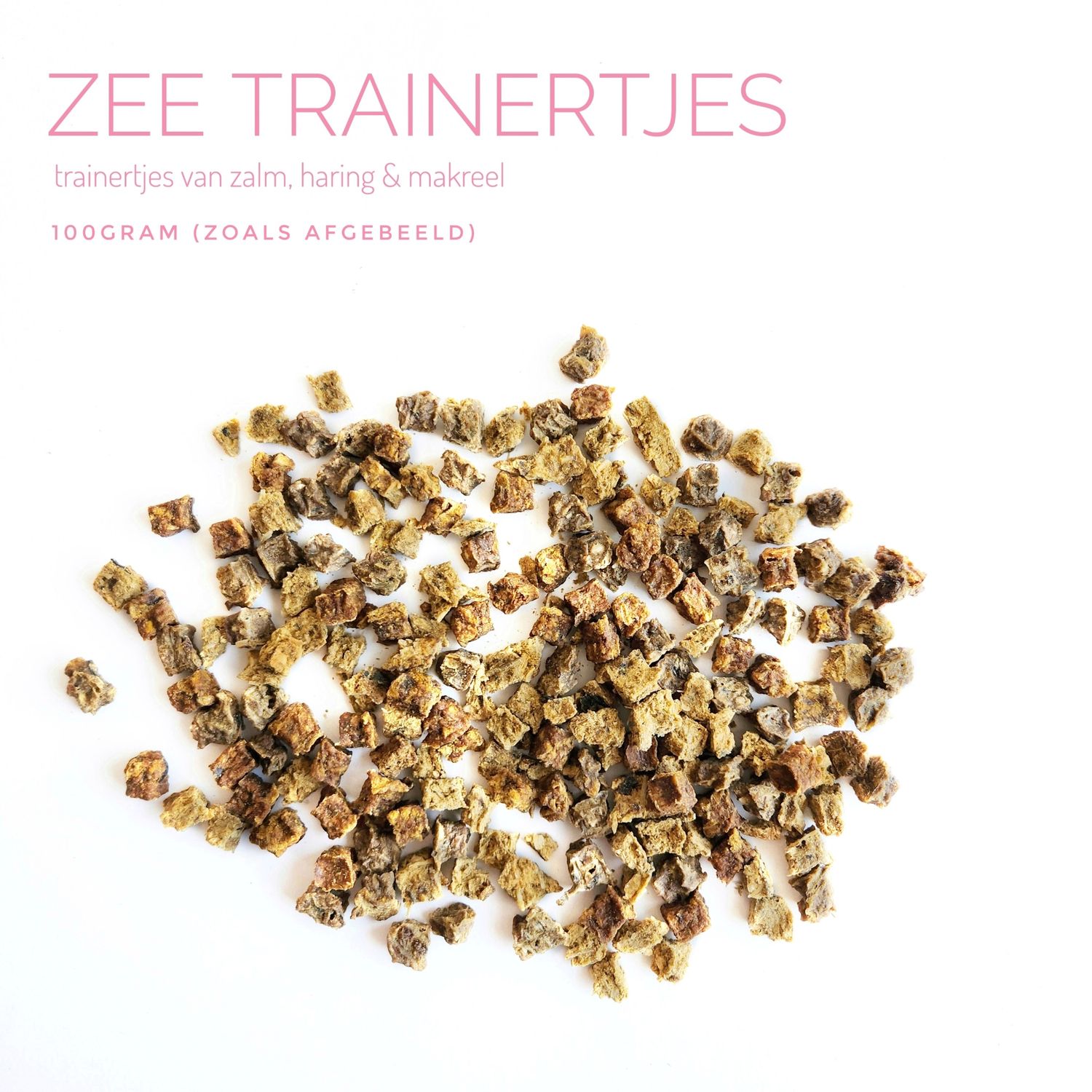 Zee trainertjes