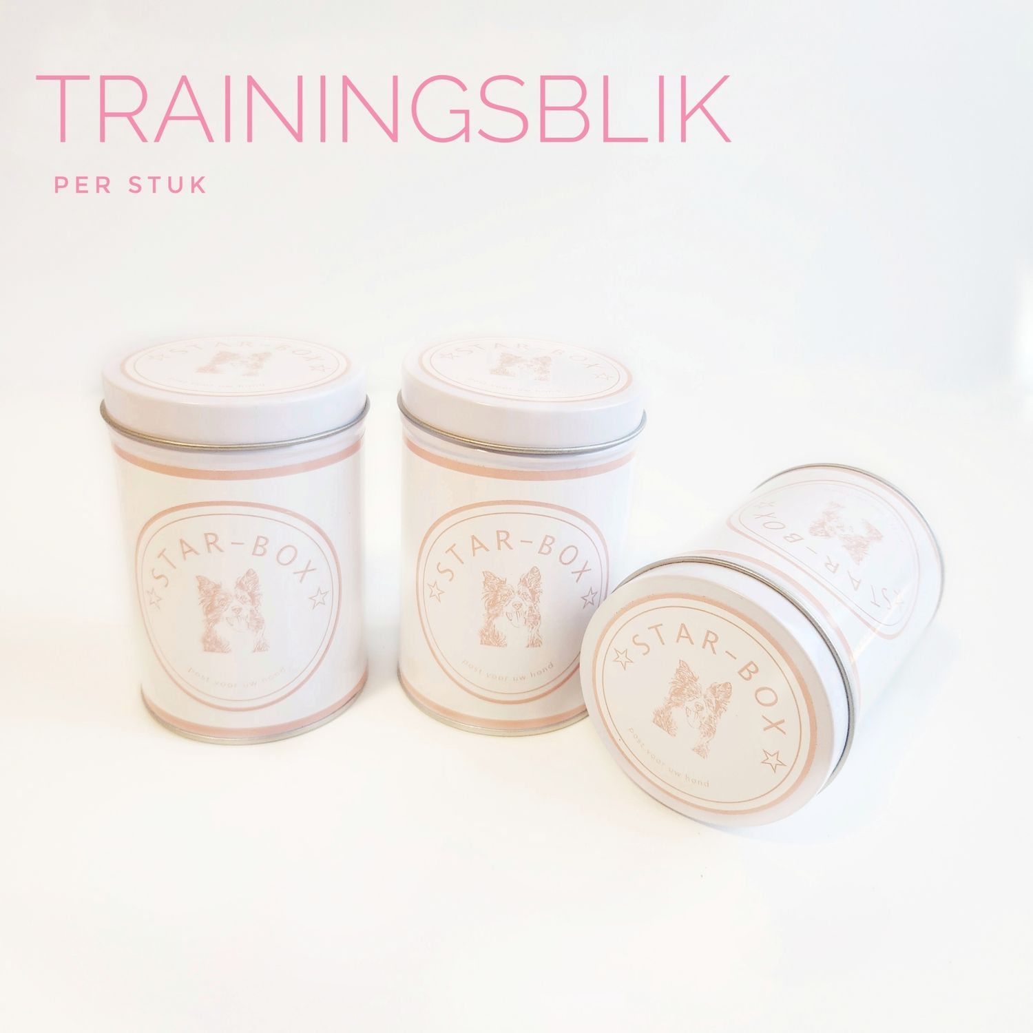 Trainingblik