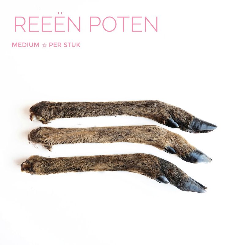 Reeën poot (M) 