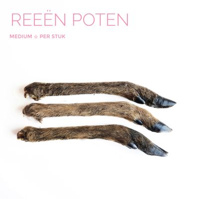 Reeën poot (M) 