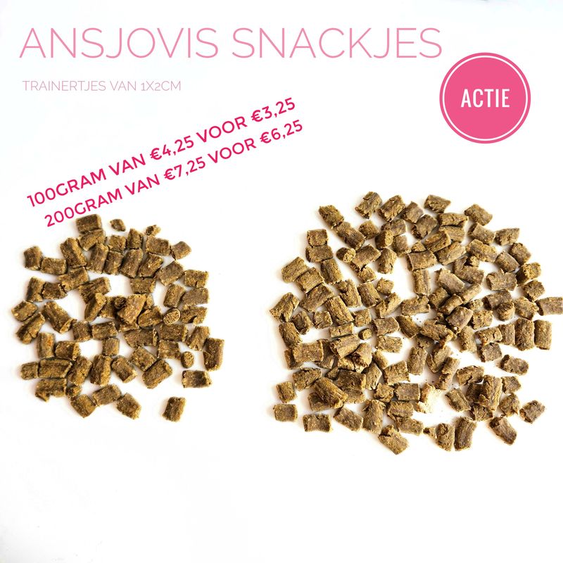 ansjovis snackjes 100gram
