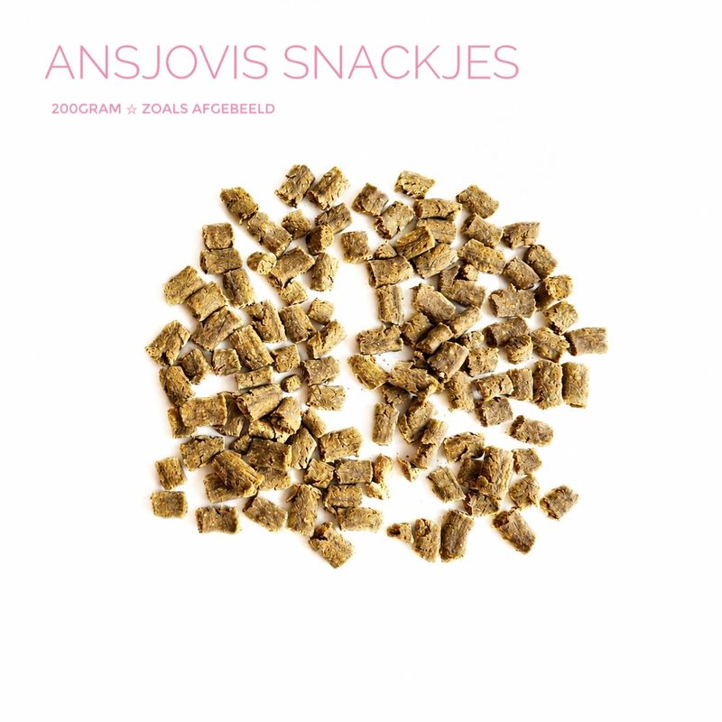 ansjovis snackjes ansjovis snackjes