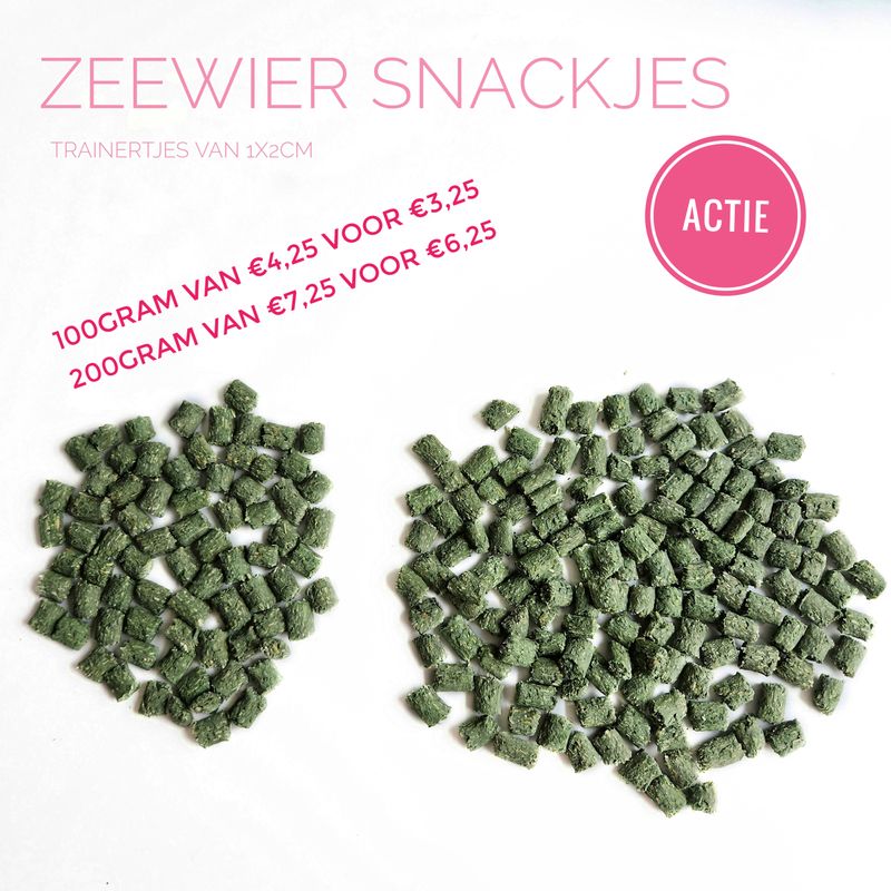 Zeewier snackjes 100gram
