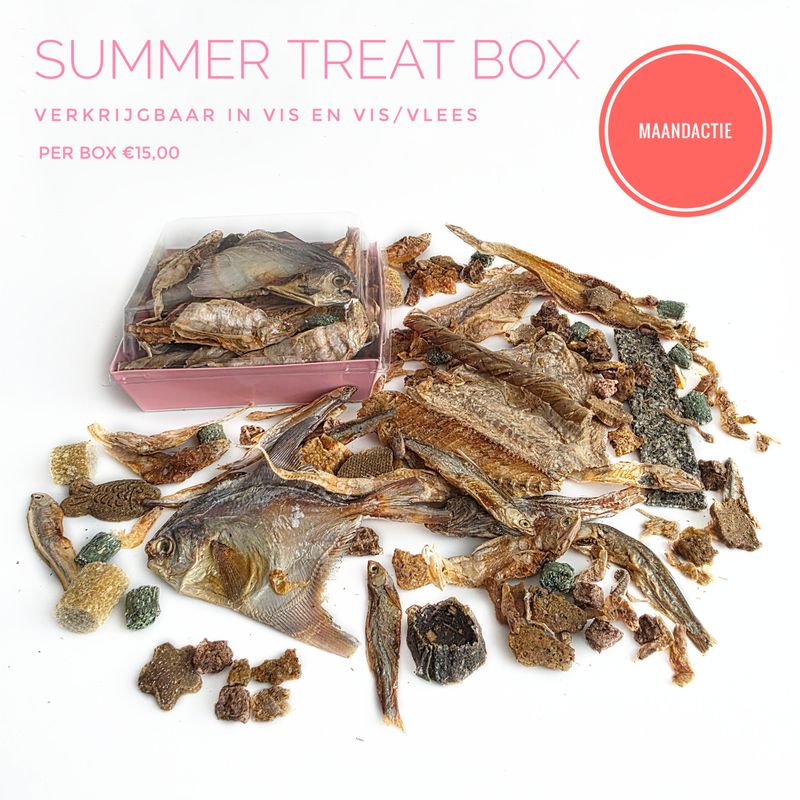 maandspecial: summer treat box
