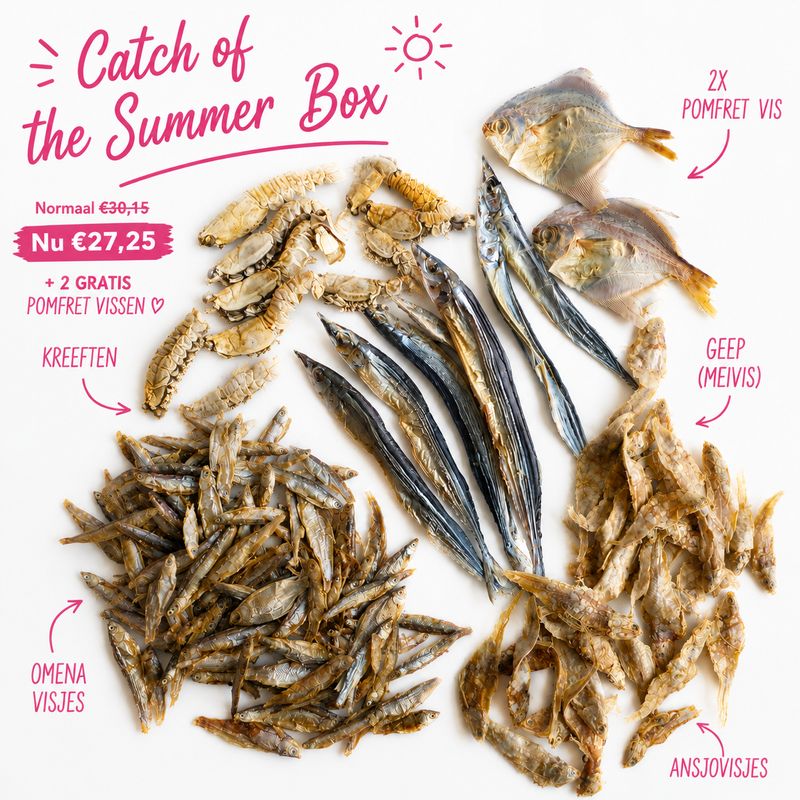 maandspecial: catch of the summer box maandspecial: catch of the summer box