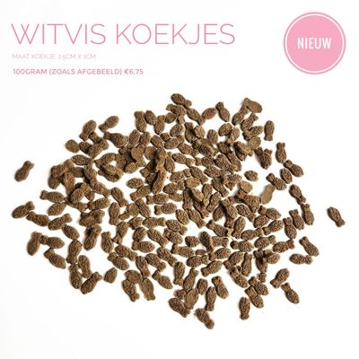 witvis koekjes (small) witvis koekjes (small)